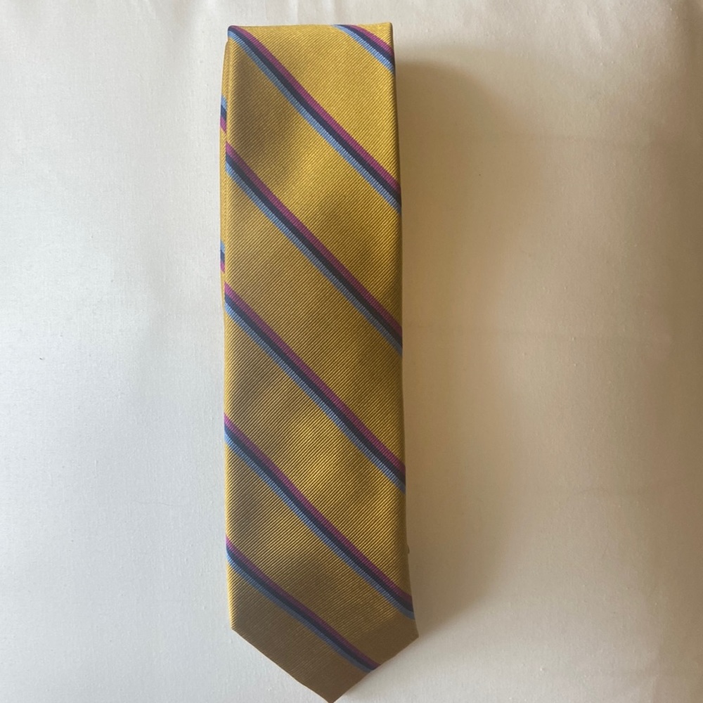 The tie bar 100% silk tie